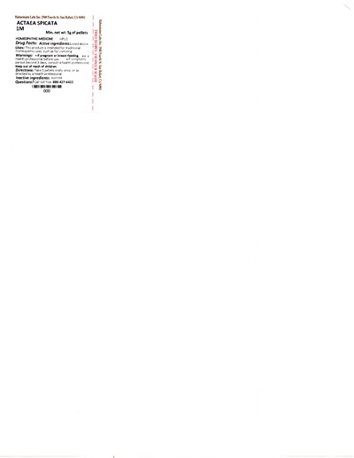 Actaea Spicata 1m 5g (Actaea Spicata 1m 5g)